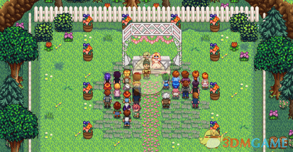 《星露谷物语》不同的结婚场景MOD