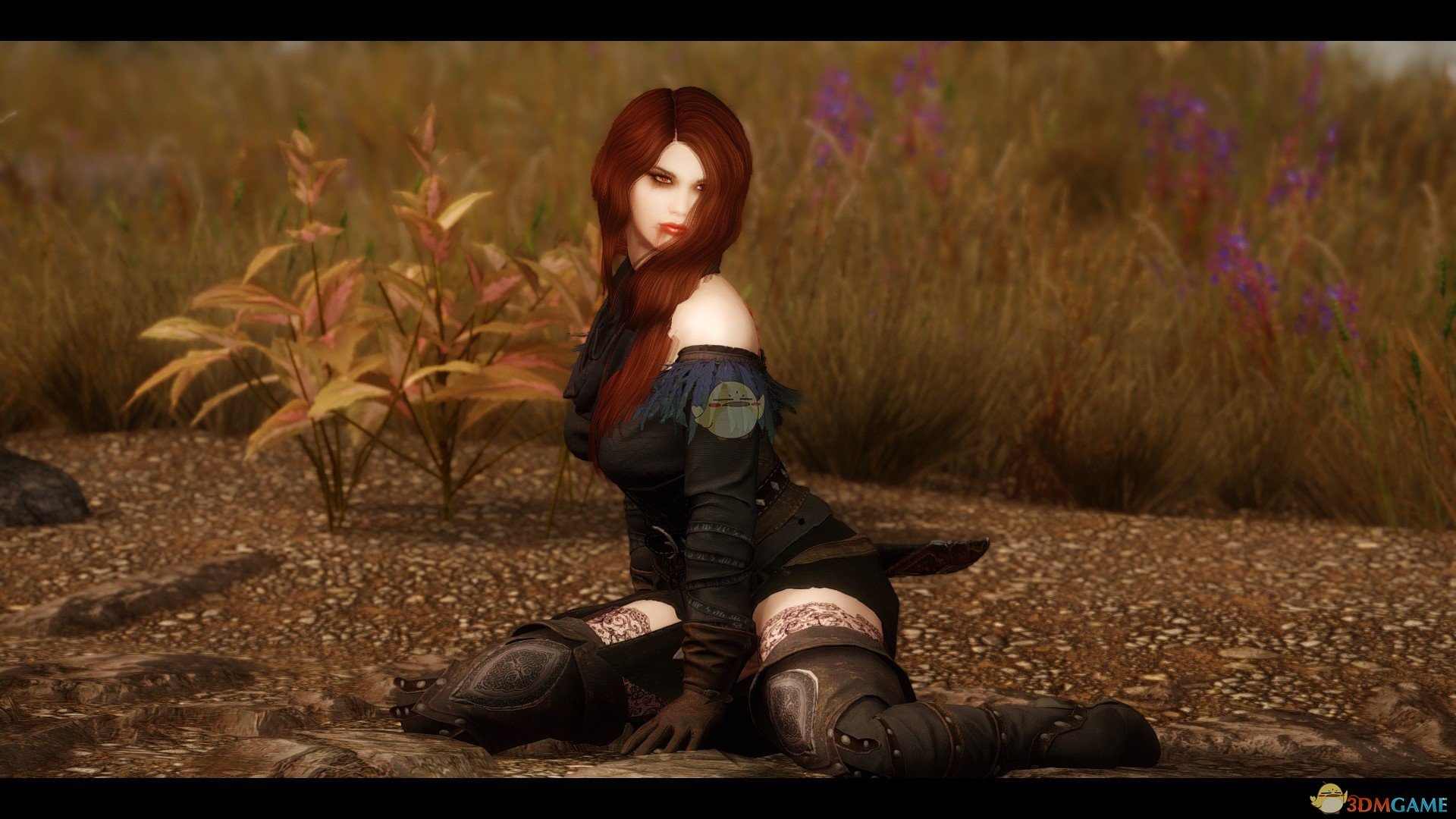 《上古卷轴5：天际重置版》Wren性感女法师随从MOD