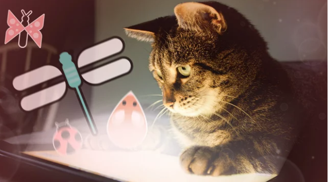 外媒表示游戏开发者与猫咪互动对工作有益