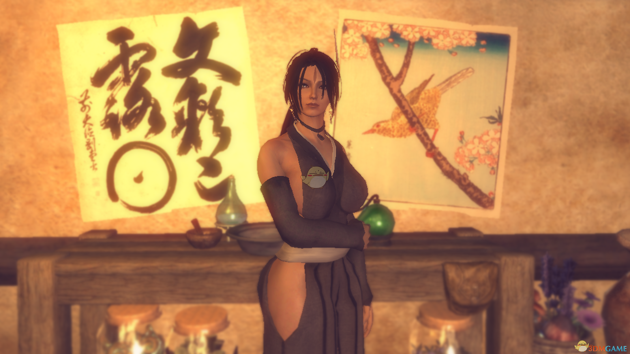 《上古卷轴5：天际》Mirai Yamato日式风格独立随从MOD