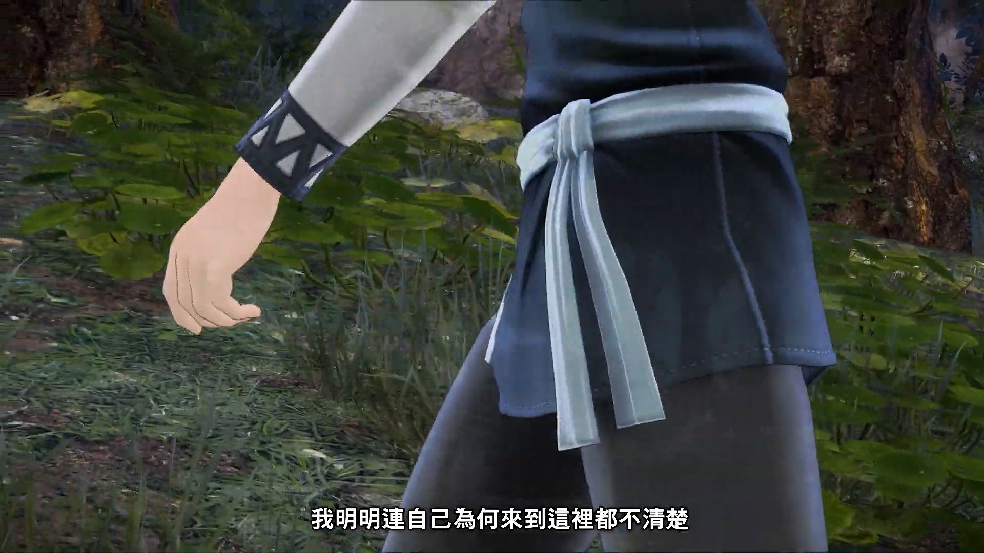 最新动画改编《刀剑神域：彼岸游境》确定支持中文