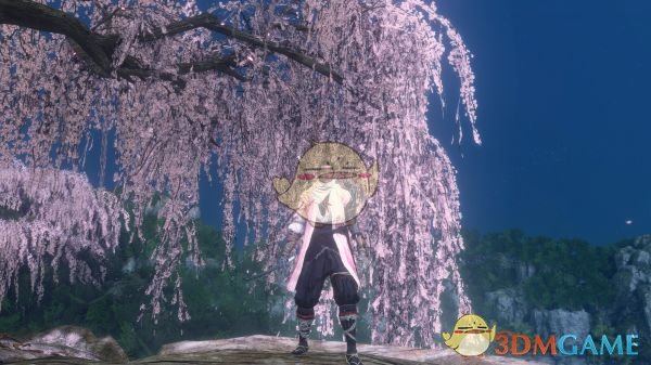 《只狼：影逝二度》樱花忍者MOD