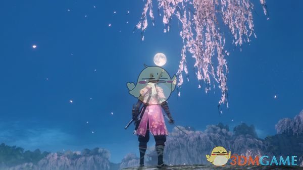 《只狼：影逝二度》樱花忍者MOD