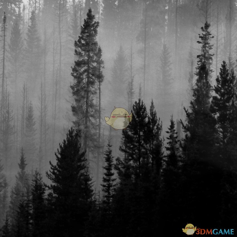 《Wallpaper Engine》雾之森林动态壁纸