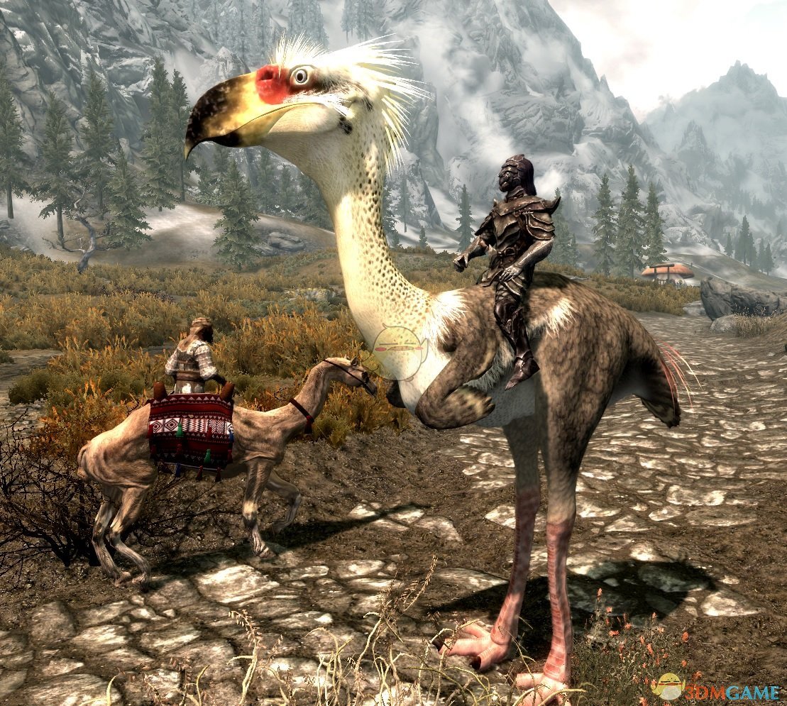 《上古卷轴5：天际》鸟类坐骑MOD