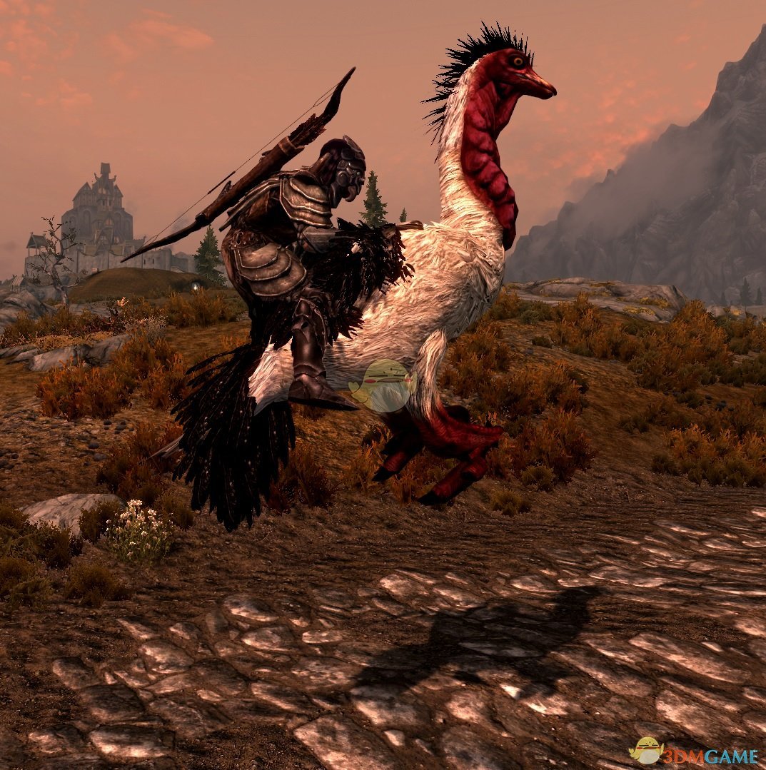 《上古卷轴5：天际》鸟类坐骑MOD