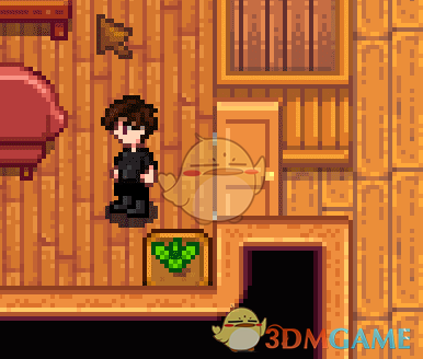 《星露谷物语》[BD]自定义门