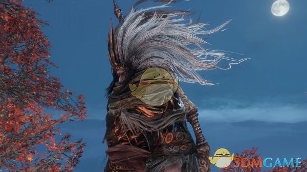 《只狼：影逝二度》无名王者MOD