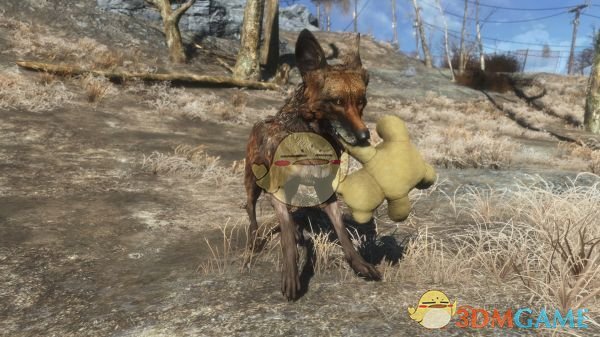 《辐射4》狗肉服装包MOD