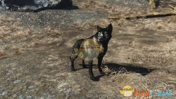 《辐射4》狗肉服装包MOD