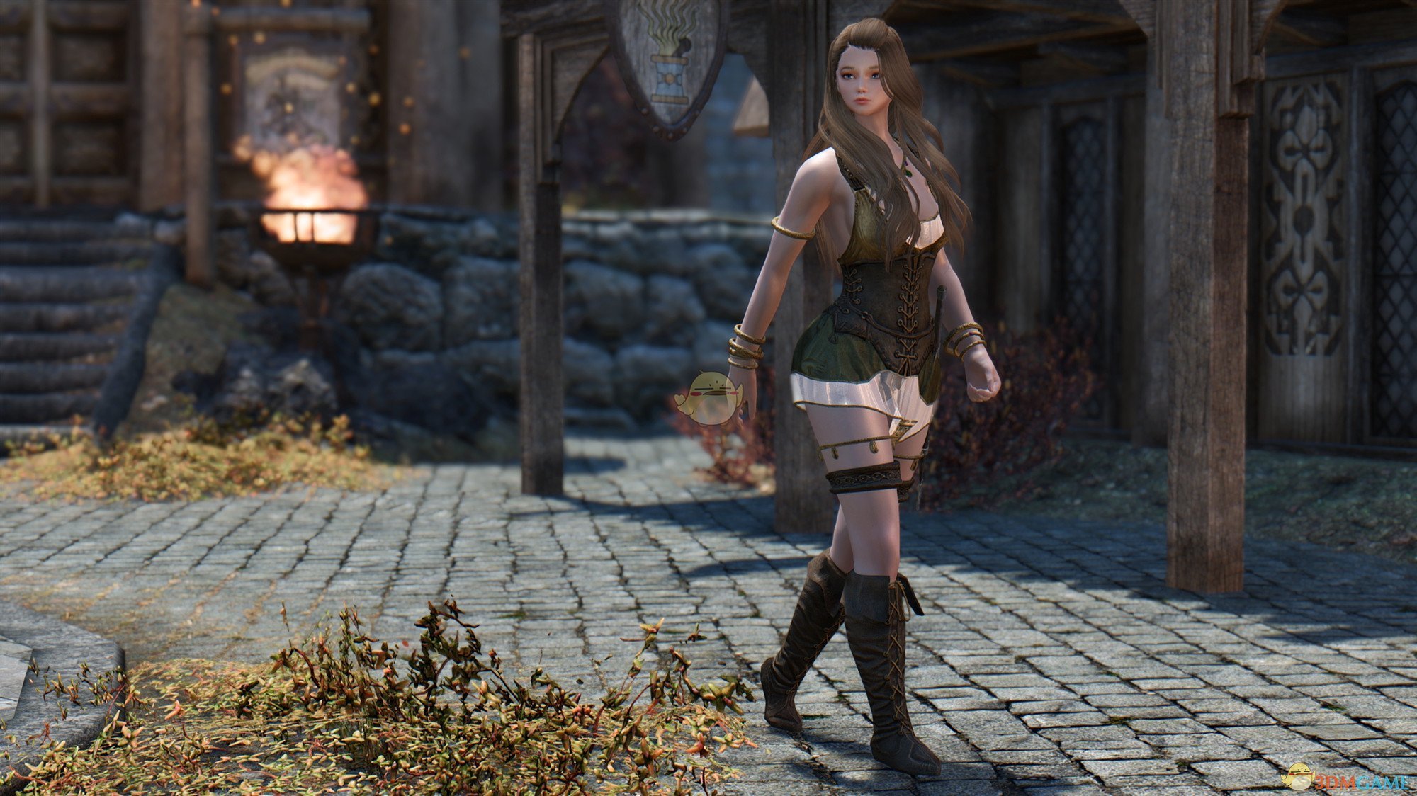 《上古卷轴5：天际》Lovy's美丽女性独立随从MOD