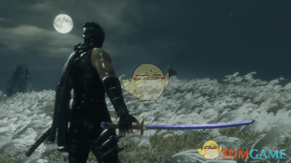 《只狼：影逝二度》隼龙MOD