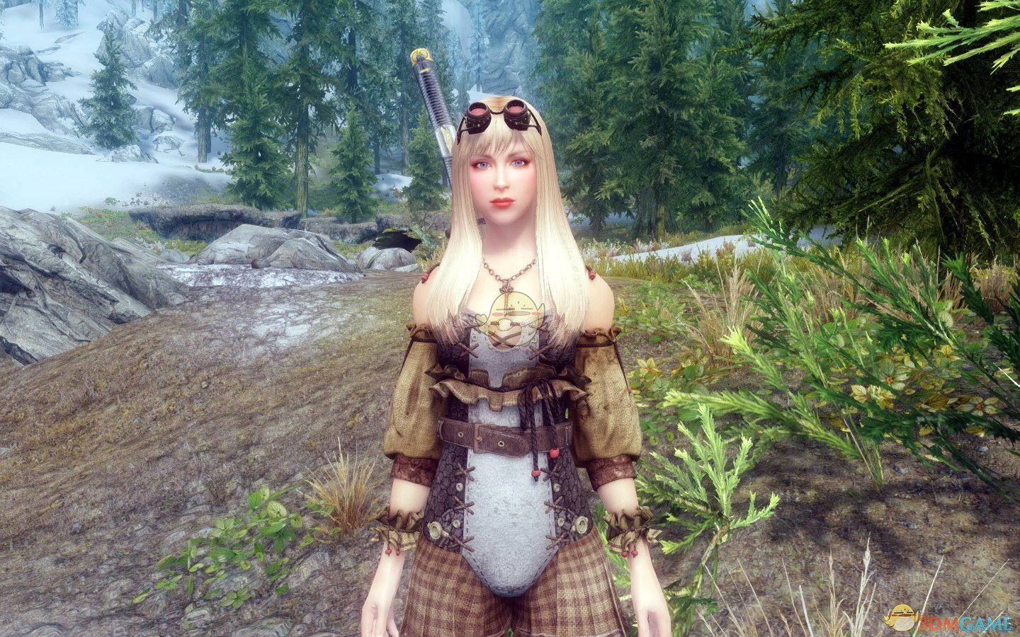 《上古卷轴5：天际》双手剑北欧女战士随从MOD