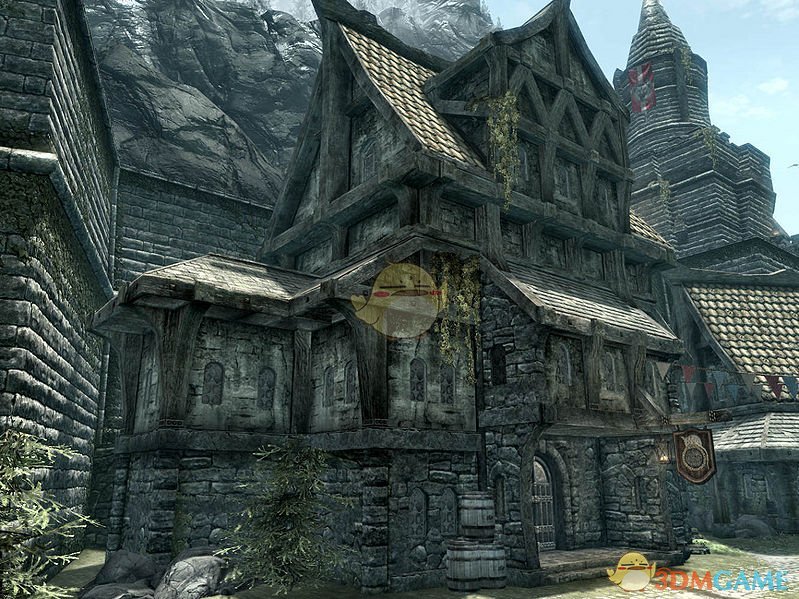 《上古卷轴5：天际重置版》女性性感刺客随从MOD