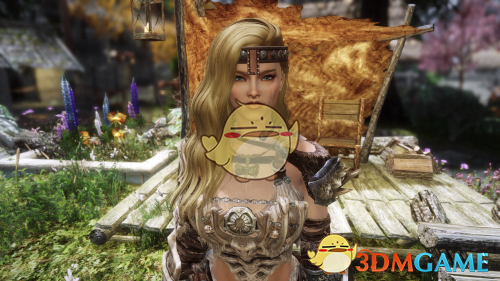 《上古卷轴5：天际》Valkyria女武神性感女性随从MOD