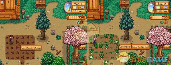 《星露谷物语》好运种植MOD