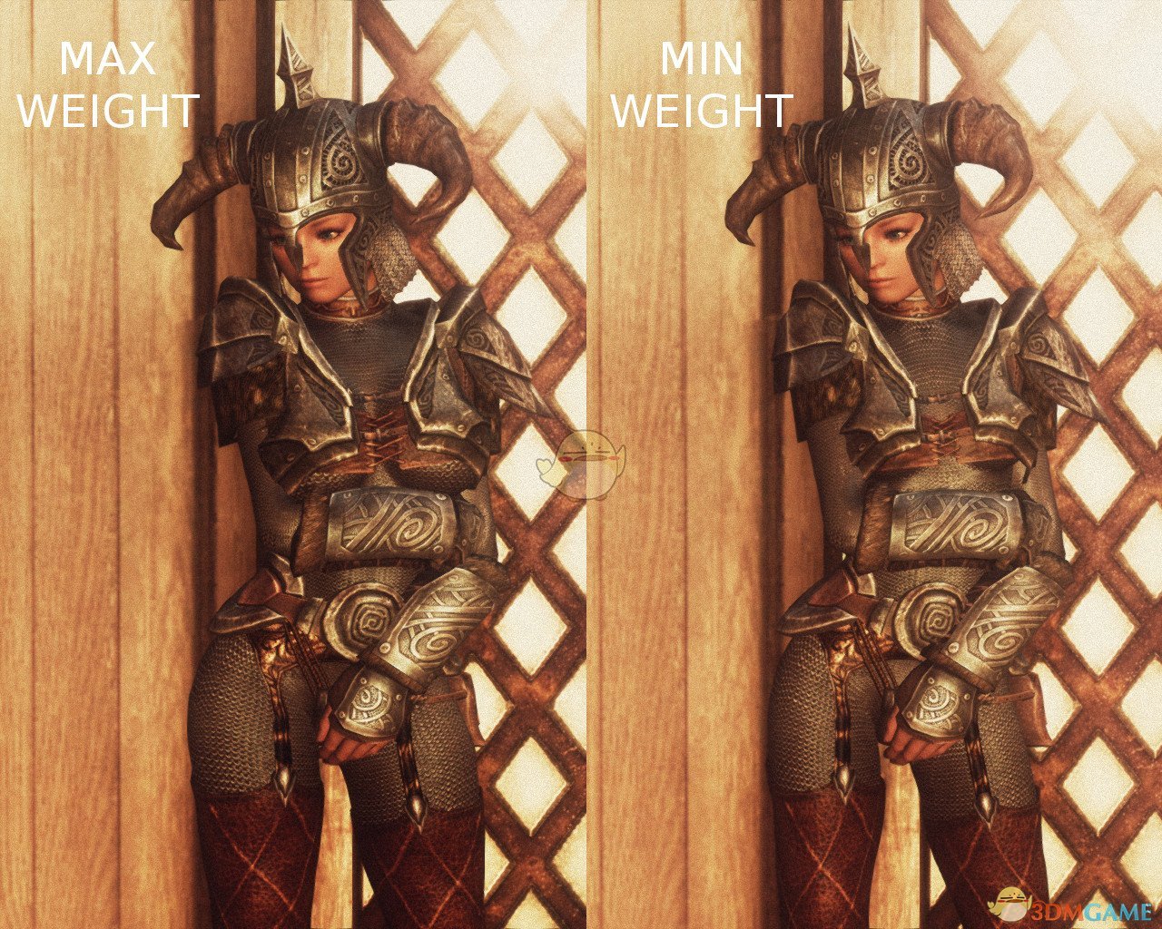 《上古卷轴5：天际》帅气的女性盔甲MOD