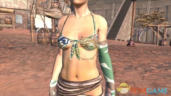 《剑士》性感装备四件套MOD