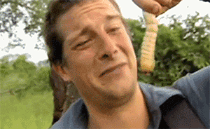 《剑士》可以食用虫子MOD