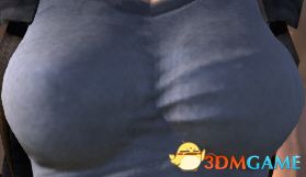 《剑士》颤动的胸口MOD