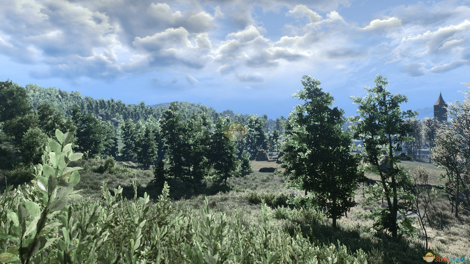 《巫师3：狂猎》真实自然画质MOD