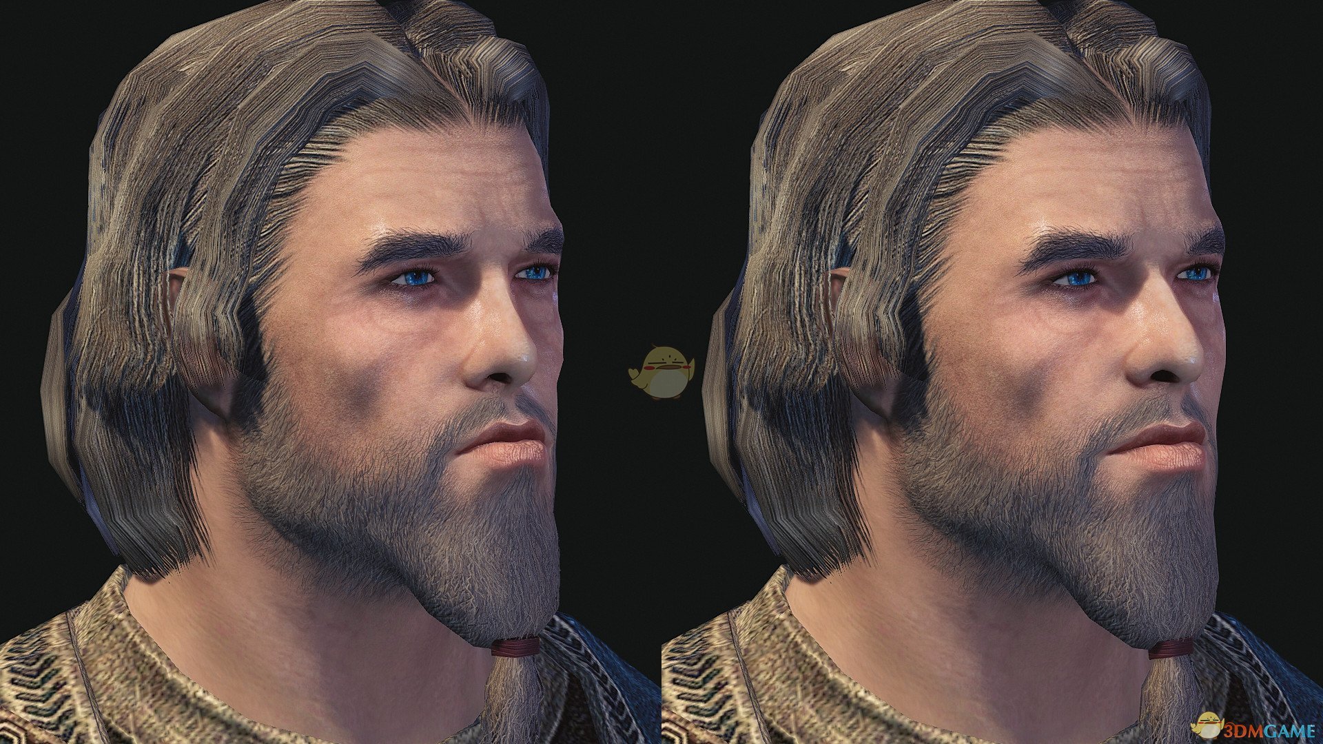 《上古卷轴5：天际重置版》人类与精灵NPC皮肤美化MOD