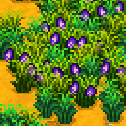 《星露谷物语》更美丽的草丛MOD