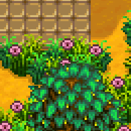 《星露谷物语》更美丽的草丛MOD