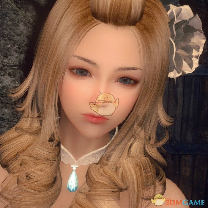 《上古卷轴5：天际》Alyss美丽女性战士随从MOD