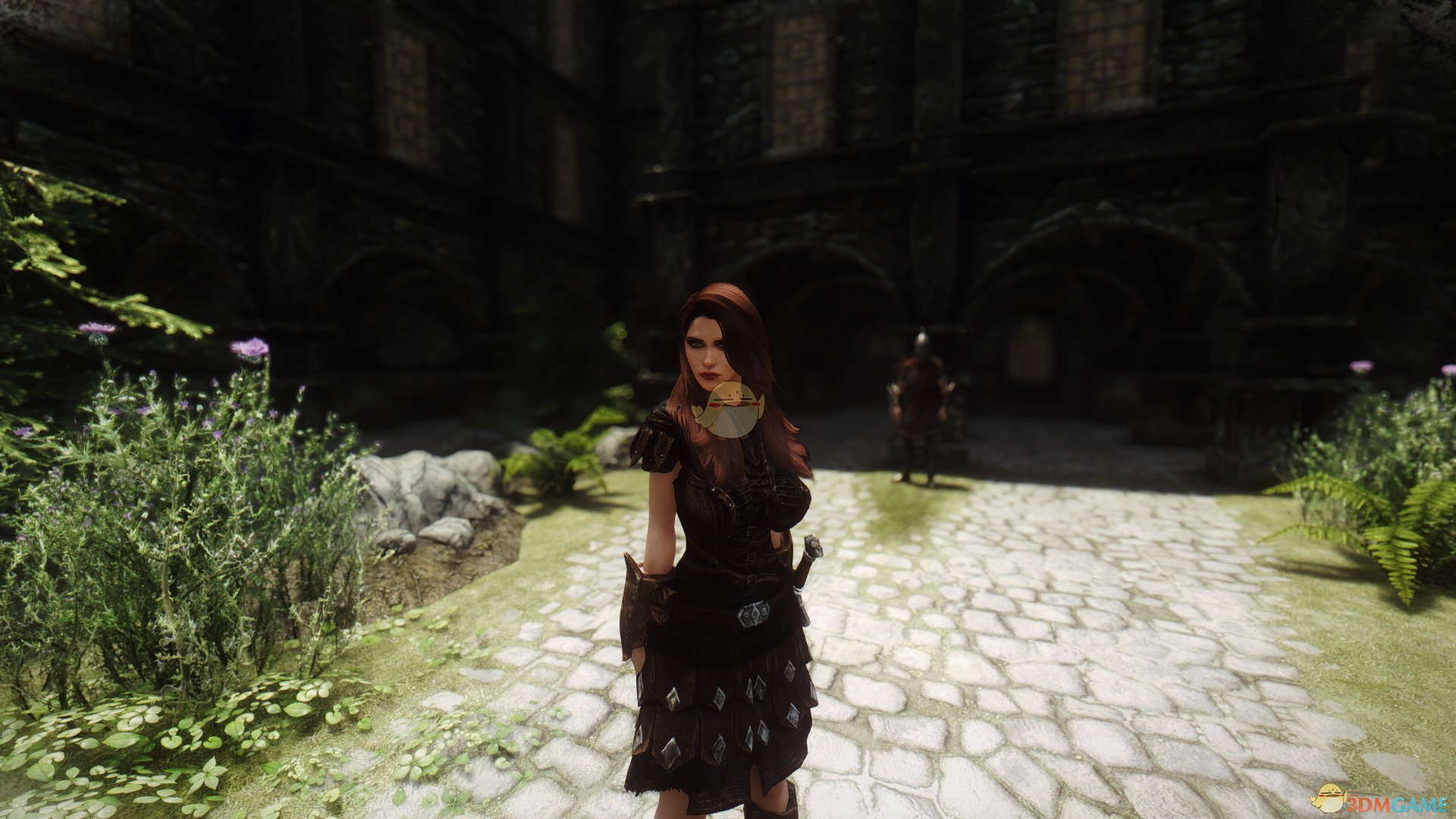 《上古卷轴5：天际》Scarlet高冷风格女性独立随从MOD