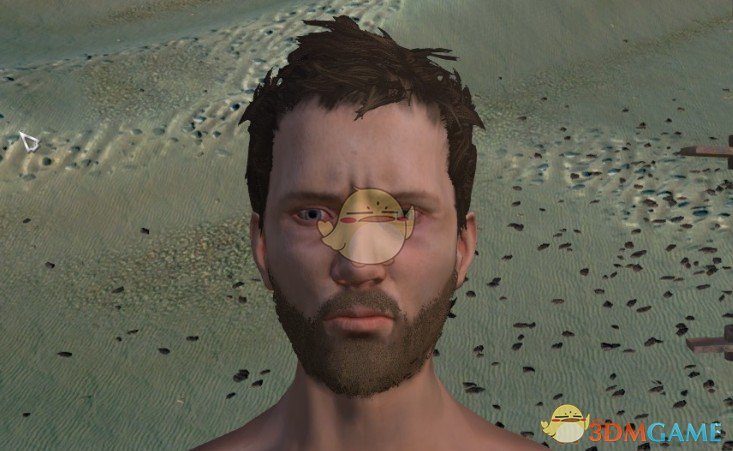 《剑士》缺少发型修复MOD