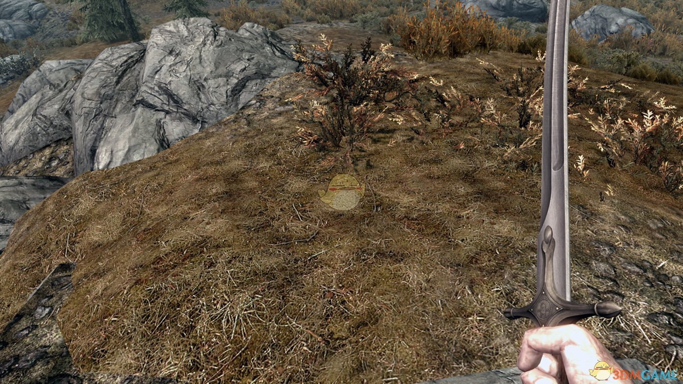 《上古卷轴5：天际》弯刀纹理修改MOD