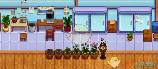 《星露谷物语》鼠耳草植物MOD