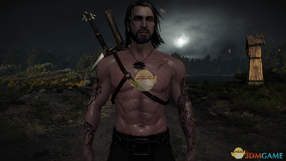 《巫师3：狂猎》杰洛特手臂纹身MOD