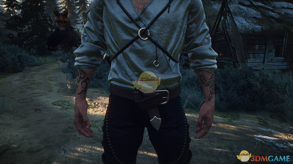 《巫师3：狂猎》杰洛特手臂纹身MOD