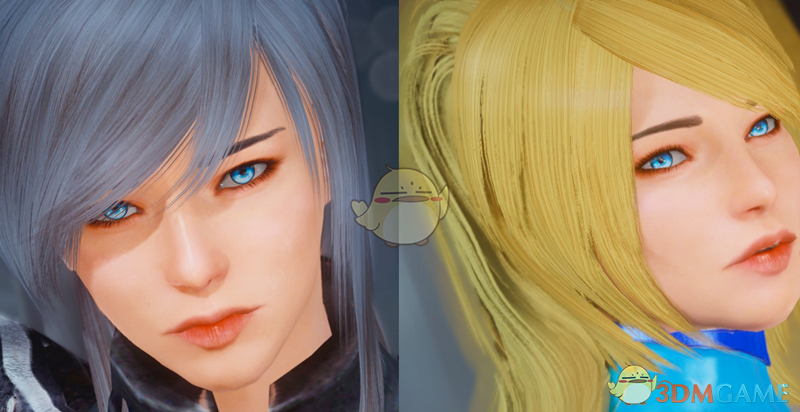 《上古卷轴5：天际》Noelle&Samus金发银发女性随从MOD