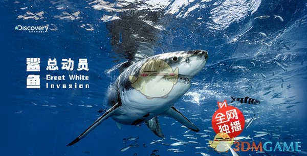 《咪咕视频》官方版