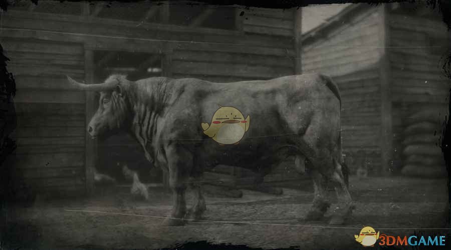 《荒野大镖客2》安格斯公牛图鉴一览