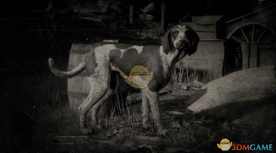 《荒野大镖客2》蓝斑浣熊猎犬图鉴一览