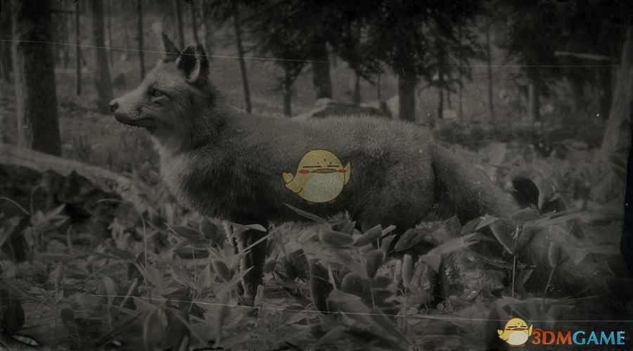 《荒野大镖客2》美国灰狐图鉴一览