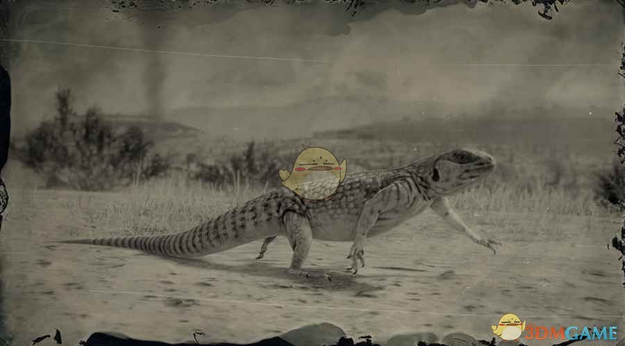 《荒野大镖客2》沙漠鬣蜥图鉴一览