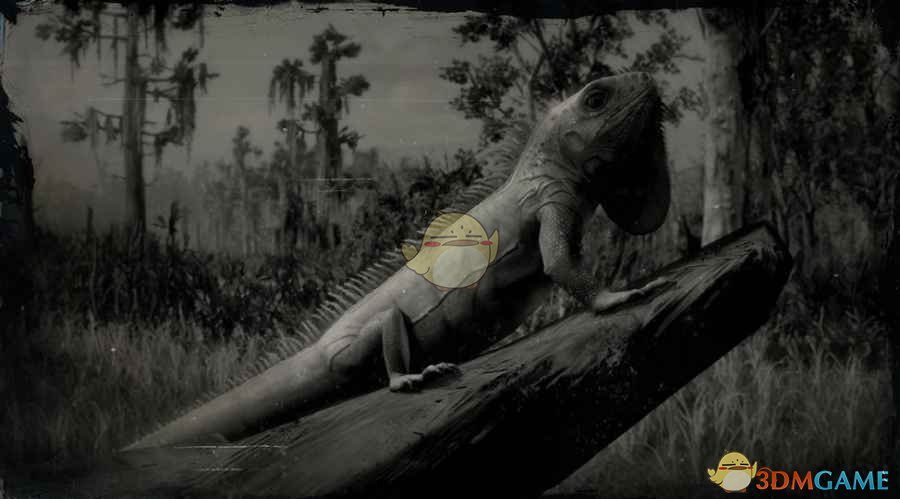 《荒野大镖客2》绿鬣蜥图鉴一览