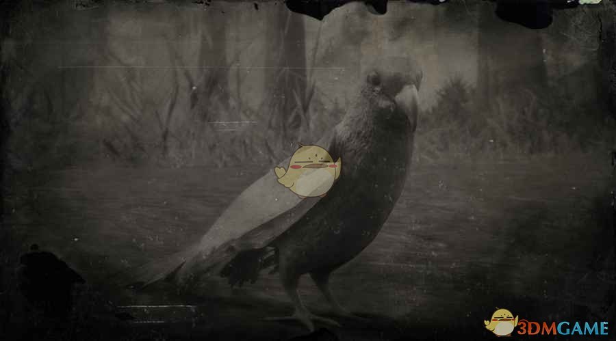 《荒野大镖客2》卡罗莱纳长尾鹦鹉图鉴一览