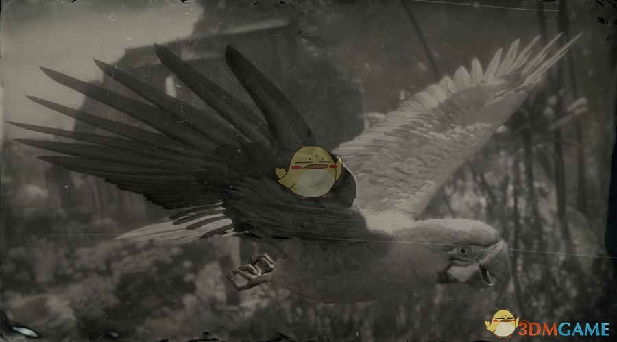 《荒野大镖客2》蓝黄金刚鹦鹉图鉴一览