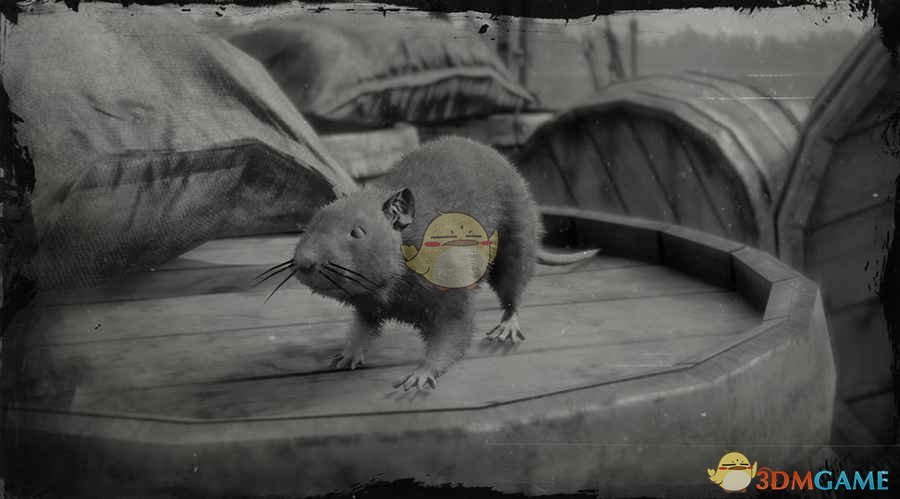 《荒野大镖客2》棕鼠图鉴一览