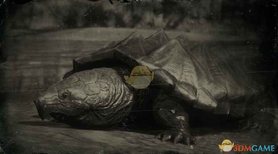 《荒野大镖客2》鳄龟图鉴一览