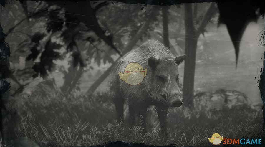 《荒野大镖客2》传说野猪图鉴一览