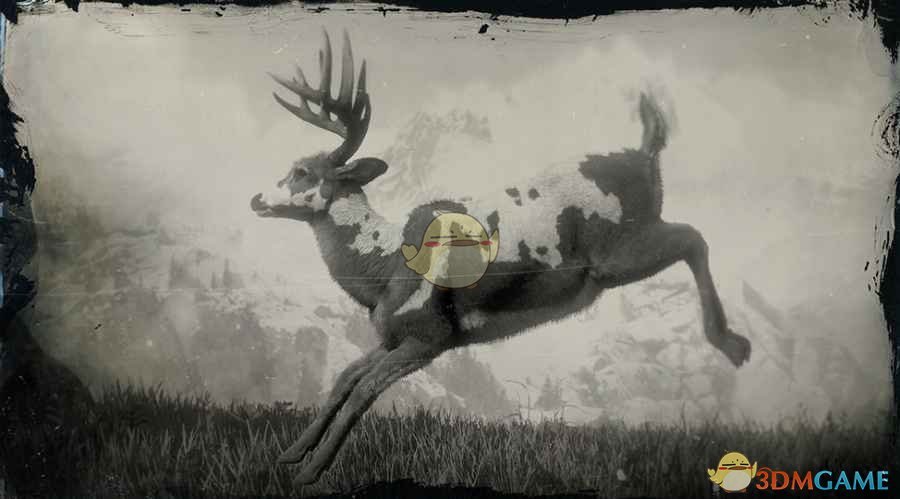 《荒野大镖客2》传说公鹿图鉴一览