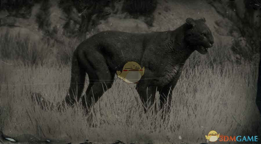 《荒野大镖客2》传说美洲狮图鉴一览