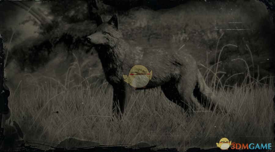 《荒野大镖客2》传说郊狼图鉴一览